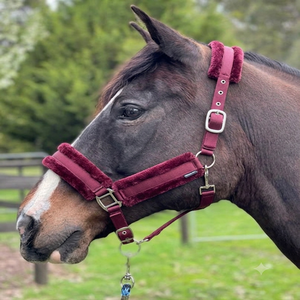 Cómodo Cabestro de Nailon Acolchado de Forro Polar Completo para Caballo, con Acolchado de Visón, Accesorio Ecuestre Multicolor, Cabestro de Carreras - Product Image 5