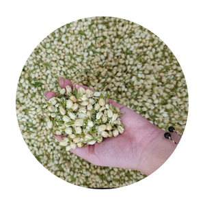 Té de Jazmín Orgánico Seco en Hojas Sueltas, Origen Vietnam, 18 Meses de Vida Útil, Precio al por Mayor - Product Image 5