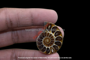 FAIJAN GEMS ราคาขายส่ง ตัวอย่างแร่ธรรมชาติ หินขัดเงา แอมโมไนต์ เปลือกหอย ตัดเป็นชิ้น รูปทรงคละแบบ ของตกแต่งบ้าน - Product Image 3