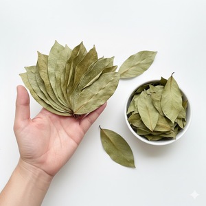 Hojas de guanábana secas 100% naturales para té - Product Image 1