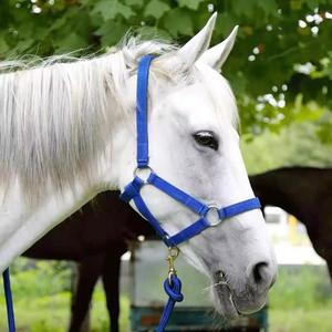 EQUILUX HANDCRAFT BOUTIQUE Luxury Quilted Horse <b>Halter</b> Comfortable Stylish Lightweight Nylon/Wool/Neoprene Equestrian - Product Image 2