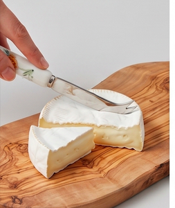 Elegant Stainless Steel Cheese Knife Serving Set White Plastic Handle Vintage <b>Floral</b> Design Dishwasher Safe For Household Event - Product Image 6