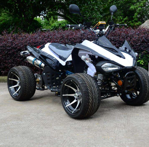 Mini ATV Eléctrico de 49cc, 125cc, 150cc, 200cc, 300cc, con Batería, Automático, de 4 Ruedas - Product Image 2