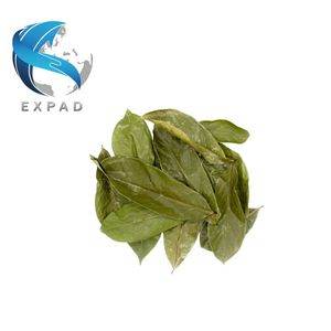 Nouvelle Récolte de Feuilles de Corossol Séchées Naturelles, Graviola, Tisanes et Boissons Santé à Base de Plantes, Guanabana Premium, Prix de Gros, Approvisionnement Stable - Product Image 1
