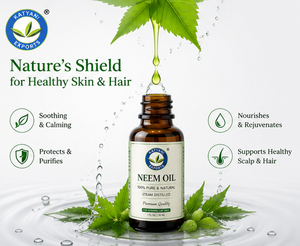 Huile de Neem Naturelle Ultra Pure 2 KG, Huile de Neem Pressée à Froid (Azadirachta Indica) – Qualité Aromathérapie – Exportateur en Gros Inde - Product Image 6