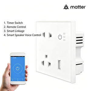 Prise murale intelligente 16A Zigbee/Matter avec port de charge USB pour le Vietnam et la Thaïlande, compatible Tuya APP et commande vocale - Product Image 2