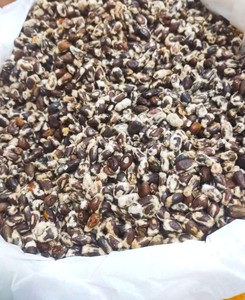 Graines de coton de qualité supérieure |   Graines de coton brutes |   Graines de coton de qualité alimentaire |   Fournisseur en gros de graines de coton |   Reen Traders |   Uttar Pradesh - Product Image 1