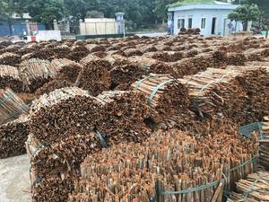 El mejor precio Secado Raw Stick Cassia Cinnamon Vietnam Origin Alta calidad Precio competitivo - Product Image 6