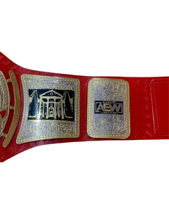 Ceinture de championnat Surtechs AEW TNT en acier inoxydable, réplique manuelle taille adulte, titre de lutte avec plaques de 2 mm - Product Image 4