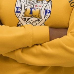 Sweat-shirt à col rond Sigma Gamma Rho, avec emblème coloré, personnalisé, imprimé pour sororité grecque, en polaire, style streetwear décontracté - Product Image 4