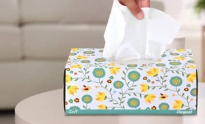 Pañuelos Faciales Hipoalergénicos de Pulpa Reciclada, 2 Capas, 150 Unidades, Caja de Pañuelos Faciales para Salón, Proveedor con Logotipo Personalizado - Product Image 1