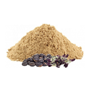 Pure Mucuna <b>Extract</b> Powder Premium Quality Wholesale Bulk <b>Extract</b> 50% - Product Image 2