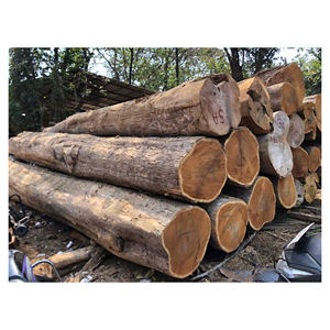 Bûches de bois de chêne naturelles, bois dur rond pour la production de bois d'œuvre en scierie, usine de meubles et revêtements de sol, approvisionnement en vrac - Product Image 4