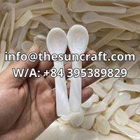 Cuillère en nacre blanche polie de qualité supérieure pour caviar, café, gâteau, crème glacée – Vente en gros directe usine