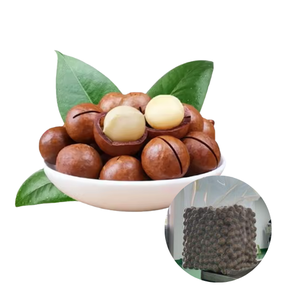 Vietnam Factory Special Offer Vietnam Manufacturer Supply Cracked Roasted Macadamia <b>Nuts</b> 500g - Product Image 1