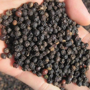 Poivre noir de qualité supérieure, piment de la Jamaïque, origine Vietnam, épice séchée brute AD, 50 kg, certifié HACCP, Phalco JSC - Product Image 1