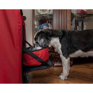 Transportadora de Mascotas Plegable Deluxe 360 Vista View, Jaula para Mascotas con Vista de 360 Grados - Product Image 3