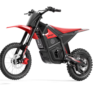 Nouveauté : Moto électrique tout-terrain A-MYET VT-300, livraison mondiale - Product Image 1