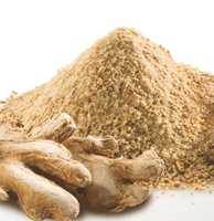 Poudre de gingembre séché de qualité supérieure, naturelle, moulue finement, épice en vrac Ocean Link Exim pour la cuisine, la transformation alimentaire, la vente en gros