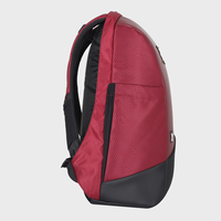 Рюкзак для ноутбука Arctic Fox Slope Maverick с защитой от кражи, USB-портом для зарядки, цвет Tawny Port, повседневная дорожная офисная сумка