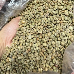 Premium Robusta Coffee <b>Beans</b> for Roasting Natural Process Green Coffee <b>Beans</b> Size 18 Clean Vietnam Highland Farm Direct Source - Product Image 2