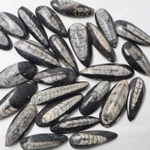 Orthocéras 100% Naturel Cabochon : Prix de Gros pour Grossistes et Fabricants, Lot en Vrac pour la Fabrication de Bagues, Pendentifs et Bijoux, Pierre de Formes et Tailles Variées - Product Image 1