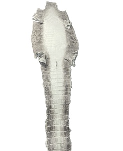 Cuir de grain <span class=keywords><strong>Croco</strong></span> Himalaya de haute qualité de l'usine du Vietnam-Ngoc Son cuir exotique pour les sacs à main de mode chaussures et ceintures - Product Image 1