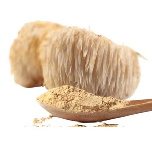 Polvo de Melena de León 100% Puro, Extracto Orgánico Natural en Polvo Fino para la Salud Cerebral, la Memoria, la Concentración y el Apoyo Inmunológico, Venta al por Mayor - Product Image 1