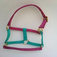 Cabestro de Latón Pulido para Caballo Miniatura con Turquesa, Collar de Cabeza Resistente para Caballo, Equipo de Equitación, Kanpur, India