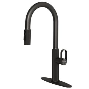 Rubinetto da Cucina Estraibile - Product Image 1