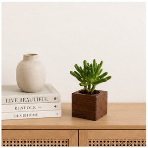 Jardinera Cuadrada de Madera Maciza Hecha a Mano para Suculentas y Hierbas de Interior, Maceta Ecológica de Nogal Negro para Escritorio y Hogar - Product Image 4