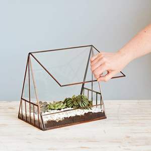 Terrario de Diseño Innovador en Forma de Casa de Cristal con Acabado Dorado, Ecológico, para Suculentas y Plantas Aéreas - Product Image 2