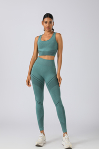 Conjunto de Yoga para Mujer, Color Sólido, Leggings de Cintura Alta, Top Corto, Chaqueta con Cierre de Cremallera de Cuarto, Sin Costuras, Elástico en Cuatro Direcciones, 2 Piezas - Product Image 3