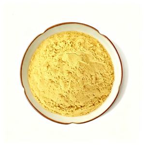 Poudre de mangue lyophilisée de qualité alimentaire, extrait d'herbes 100 % hydrosoluble, pour les smoothies et les boissons. Fournisseur direct usine. - Product Image 1