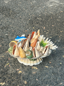 Natural <b>Shell</b> Bowl Display <b>Abalone</b> Conch Seashell Decoration Vietnam Factory Wholesale Custom Label Hanging Boat Aquarium Craft - Product Image 3