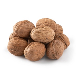 Noix de Grenoble entières séchées, 100% naturelles, nutritives, de qualité supérieure, en gros, pour collation - Product Image 2