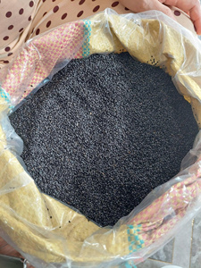 Graines de basilic, graines de Sabja pour l'industrie des boissons, la transformation alimentaire et l'emballage de détail - Product Image 2