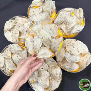 Nid d'oiseau comestible du Vietnam, matériau de nid de salangane pour la restauration et la cuisine en restaurant - Product Image 2