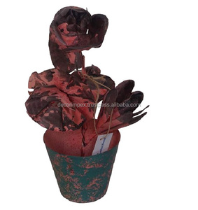 Pièce maîtresse colorée fleur avec Pot décorer plantes feuille de fer de Noël vente en gros Pots de fleurs intérieurs et extérieurs et maison - Product Image 4