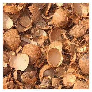 Cáscaras de coco naturales trituradas a granel para filtros de carbón de purificación de agua y sistemas de filtración de aire - Product Image 3