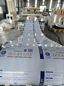 Panel de Policarbonato Sólido de Alta Calidad con Revestimiento Antiestático, Lámina Transparente Resistente a Impactos para Techos Industriales - Product Image 6