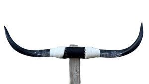 เขาควายคู่แกะสลักและขัดเงาด้วยหินอาเกต สำหรับตกแต่งห้องนั่งเล่นและห้องนอน งานฝีมือจากธรรมชาติ - Product Image 3