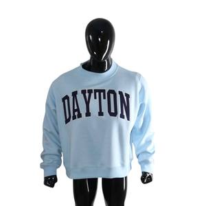 Sweat-shirt à col rond Dayton avec imprimé lettres pour femme, bleu clair, manches longues, tricoté, style automne - Product Image 4