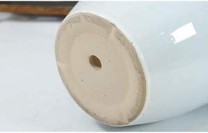 Pot de fleurs en céramique de luxe pour une arrangement élégant de plantes d'intérieur. Pot de fleurs en céramique design pour la décoration moderne de la maison et du jardin. - Product Image 4