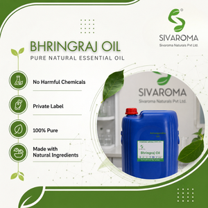 Huile de Bhringraj Premium, huile végétale naturelle à base de plantes pour les formules de soins capillaires, la fabrication de produits de soins personnels et l'industrie cosmétique - Product Image 6