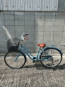 Bicicleta Azul de 20 Pulgadas con Cuadro de Acero, Una Velocidad, Llanta de Aluminio, Canasta Delantera y Portaequipajes Trasero para Desplazamientos Diarios - Product Image 1