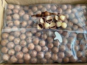 Venta al por mayor de nueces de macadamia tostadas de la nueva cosecha 2026 con cáscara o sin cáscara, suministro a granel, mejor precio - Sra. Tarina - Product Image 3