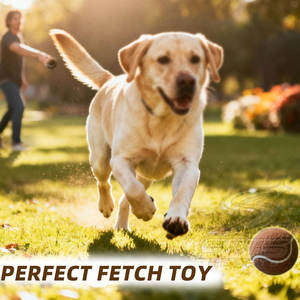 Pelotas de Tenis de Alto Rendimiento para Torneos y Uso en Clubes, Alta Durabilidad, Venta al Por Mayor de Fábrica, Pelotas de Tenis Listas para la Competencia - Product Image 5