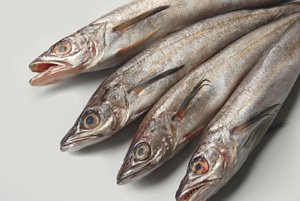 Frozen Hake <b>Fish</b> for Seafood Distributors and Suppliers - Product Image 5