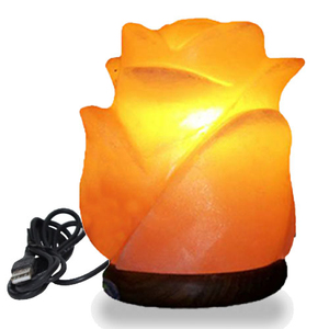 Custom Logo <b>USB</b> Mini Himalayan Salt Lamps Premium Compact Crystal <b>Night</b> <b>Lights</b> with OEM Size Private Label Wholesale Supplier - Product Image 3